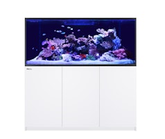 Red Sea REEFER-S 700+ G2 DLX WS 2x 160 Mont Aquarium mit Unterschrank