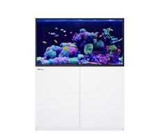 Red Sea REEFER-S 550 G2+ DLX 2x 160 Mont Aquarium mit Unterschrank