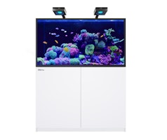 Red Sea REEFER G2+ S 550 Complete System Aquarium mit Unterschrank