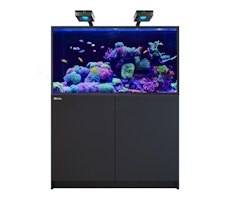 Red Sea REEFER G2+ S 550 Complete System Aquarium mit Unterschrank