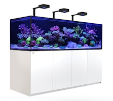 Red Sea Reefer S 1000 Deluxe Meerwasser-Aquarium mit Unterschrank