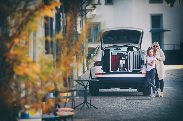 4pets Hundetransportbox ECO 1 S