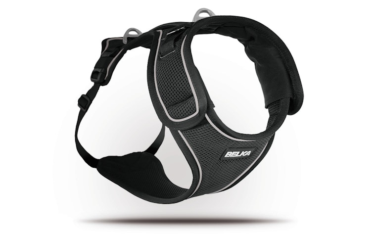 curli Belka Harness schwarz Hundegeschirr