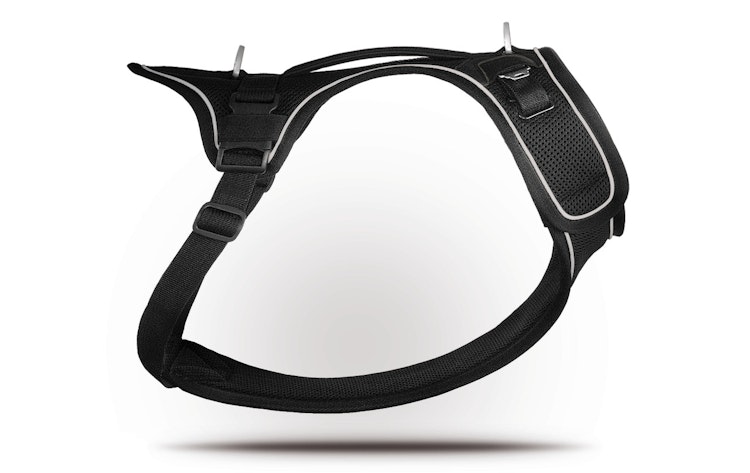 curli Belka Harness schwarz Hundegeschirr