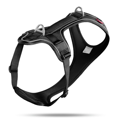 curli Belka Comfort Geschirr schwarz Hundegeschirr