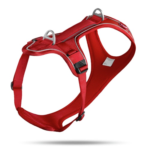curli Belka Comfort Geschirr rot Hundegeschirr
