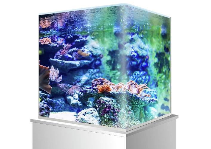 amtra Nanotank Glasbecken