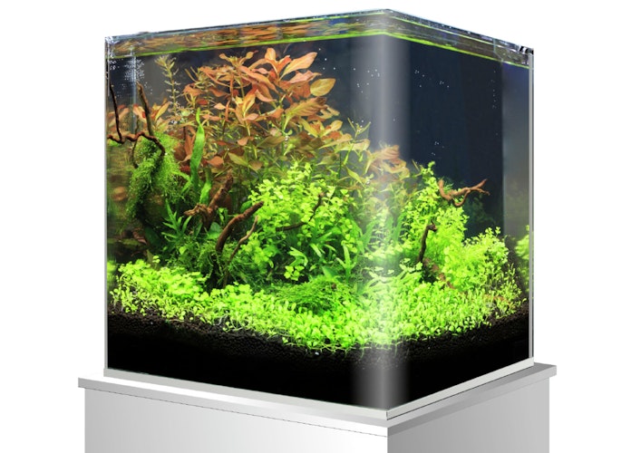 amtra Nanotank Glasbecken