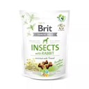 Vorschaubild Brit Insects