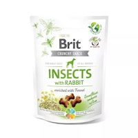 Brit Insects