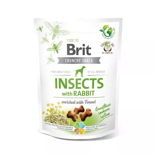 Brit Insects