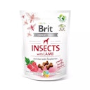 Vorschaubild Brit Insects