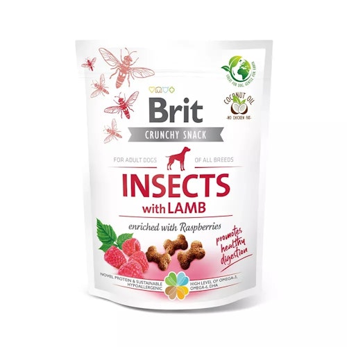 Brit Insects