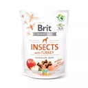 Vorschaubild Brit Insects