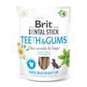 Vorschaubild Brit DentalStick 