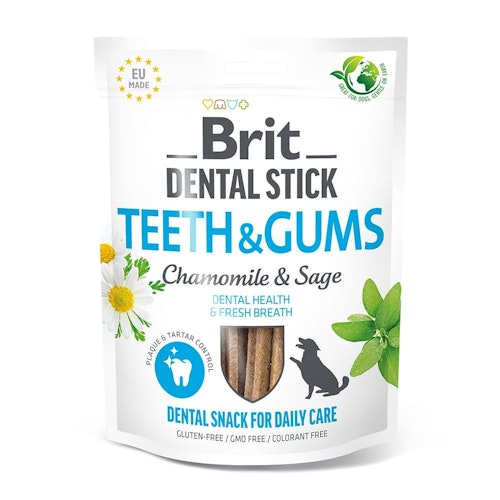 Brit DentalStick 