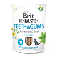 Brit DentalStick 