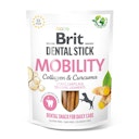 Vorschaubild Brit DentalStick 