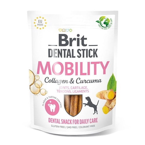 Brit DentalStick 