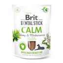 Vorschaubild Brit DentalStick 