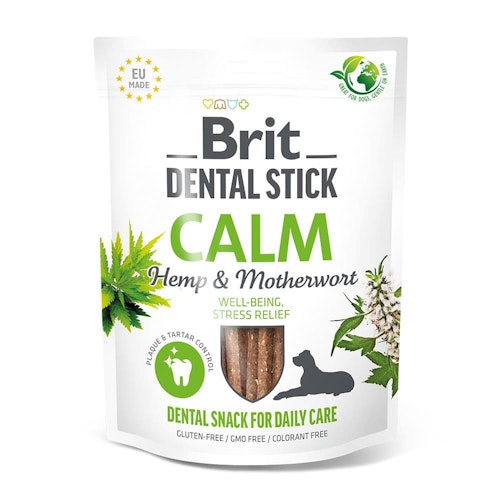 Brit DentalStick 