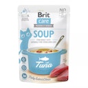 Vorschaubild Brit Katze Soup