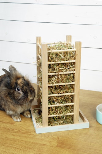 Beeztees Holz Heubehälter 35 mint Kleintierzubehör