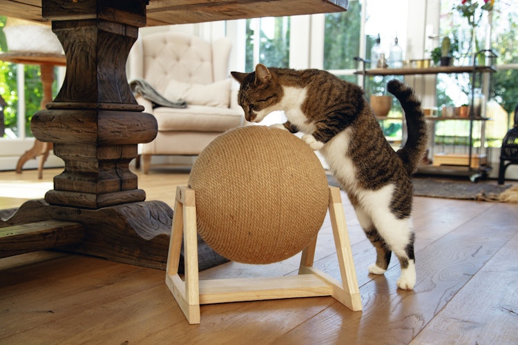 Designed by Lotte Kratzball Xem mit Fuss 34 x 30 x 35,5 Centimeter Katzenspielzeug