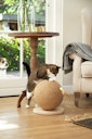 Vorschaubild Designed by Lotte Kratzball Balty aus Holz Katzenspielzeug