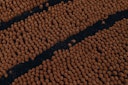 Vorschaubild Karlie Dirty Dog Doormat 78 x 51 Centimeter braun Hundefußmatte