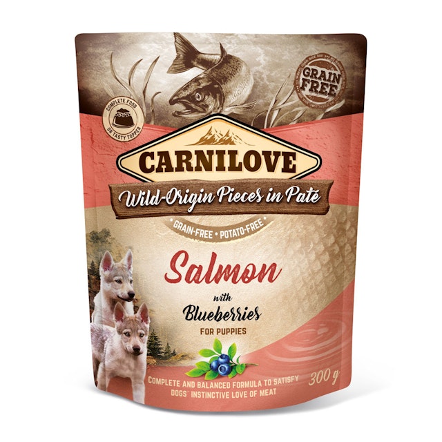 CARNILOVE Pieces in Paté 300 Gramm Hundenassfutter 12 x 300 Gramm Puppy Salmon with BlueberriesVorschaubild