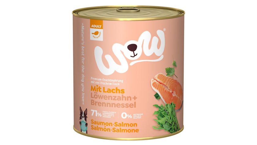 WOW Adult 800g Dose Hundenassfutter 6 x 800 Gramm Lachs mit TomatenVorschaubild